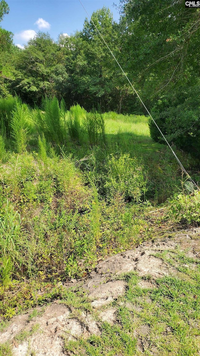 0 Ardis Rd, Pinewood, SC 29125 - photo 4