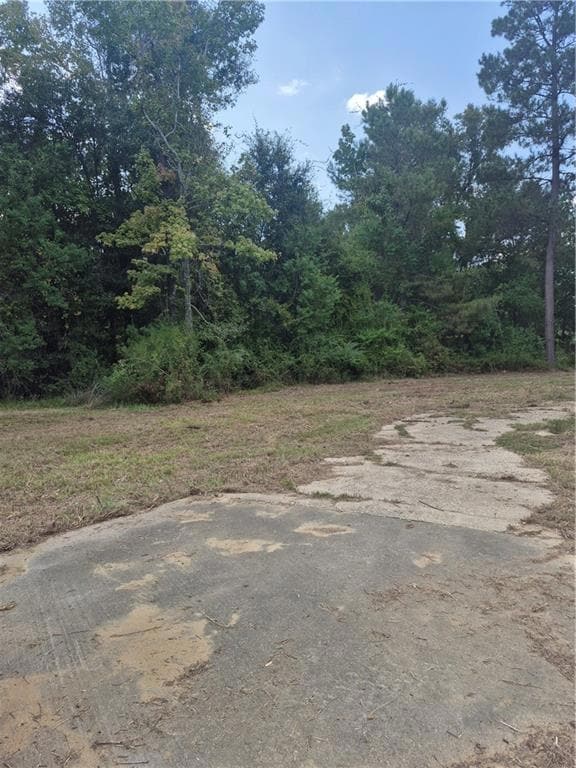 14014 Oakwood Ln, Independence, LA 70443 - photo 2