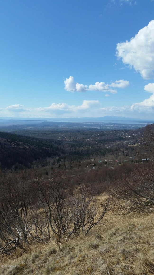 L1L2 Canyon Rd, Anchorage, AK 99516 - photo 6