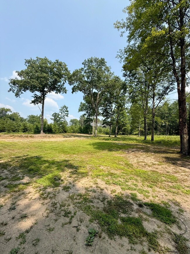 1 River Rd, Brethren, MI 49619 - photo 2