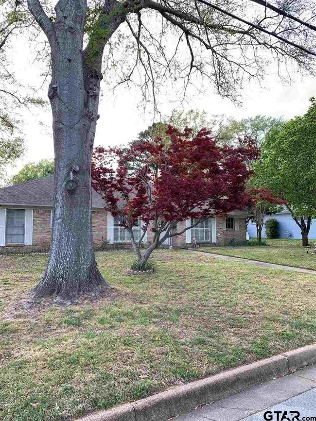 3009 Brookside Dr, Tyler, TX 75701 - photo 2