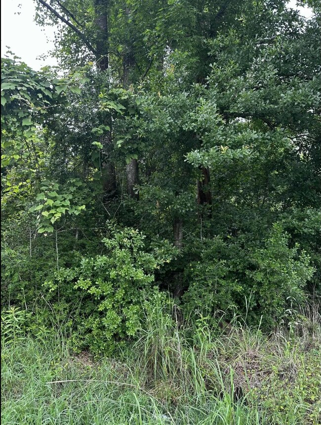 0 Louisiana 109, Starks, LA - photo 4