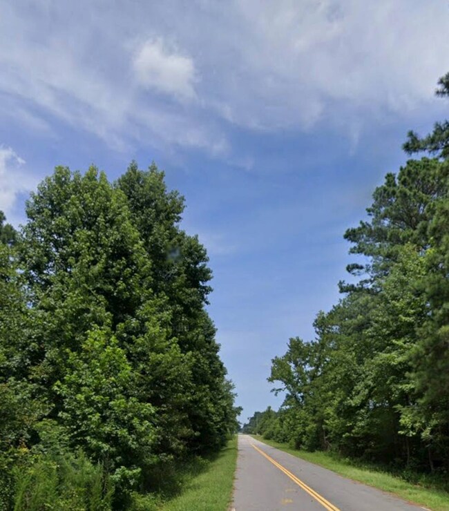 0 Hwys 301 & S-38-82 70 09910024 unit 11418779, Santee, SC 29142 - photo 2