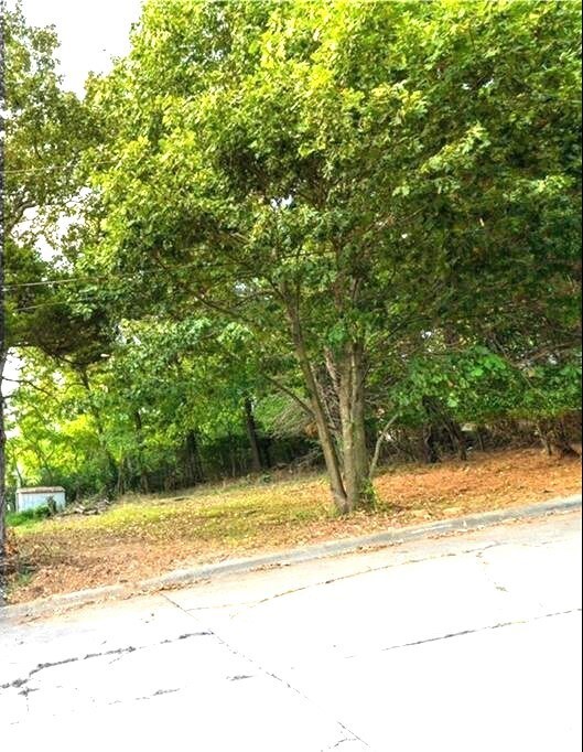 0 S Blair Ave unit B 1260505, Fayetteville, AR 72701 - photo 3