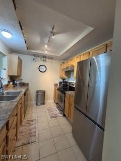 Kitchen with a tray ceiling, track lighting, a sin
