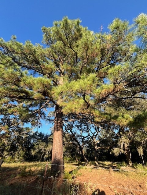 1311-B Alleyton Rd, Columbus, TX 78934 - photo 7