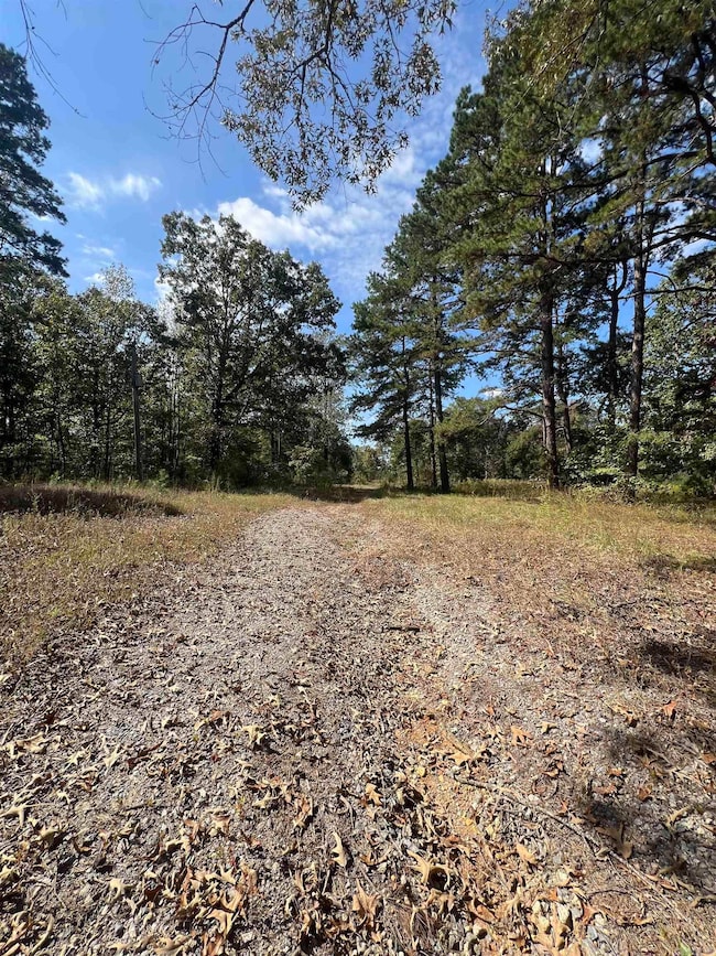 23709 Block Rd, Hensley, AR 72065 - photo 3