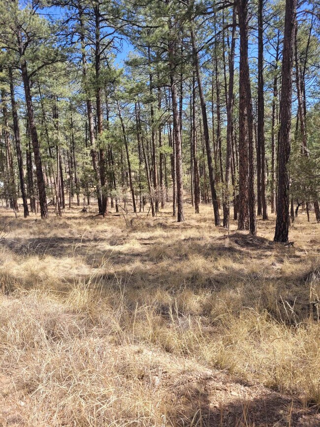 25,26,27 Damascus Rd, Timberon, NM 88350 - photo 4