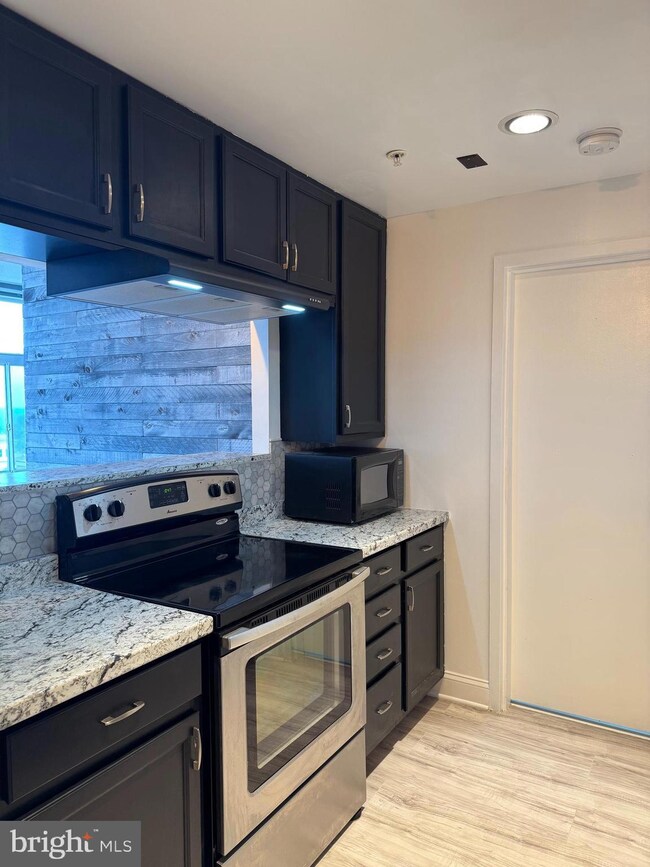 28 Allegheny Ave unit 1401, Towson, MD 21204 - photo 7