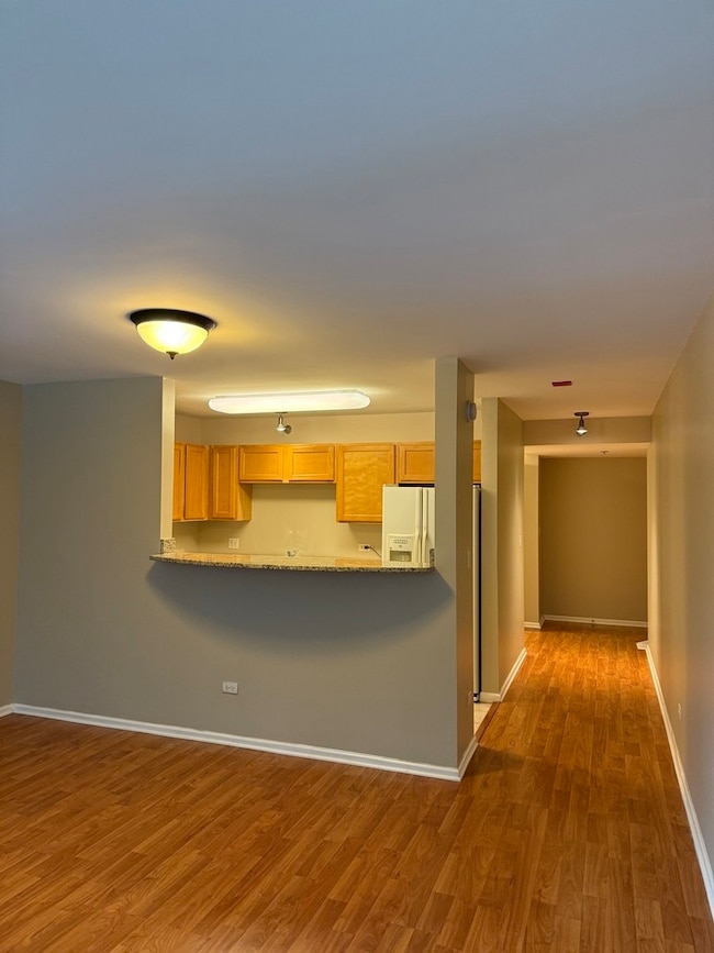 The Sterling unit 209, Chicago, IL 60654 - photo 2