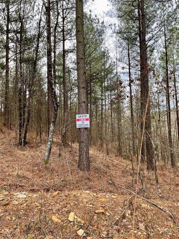 View of mother earth's splendor