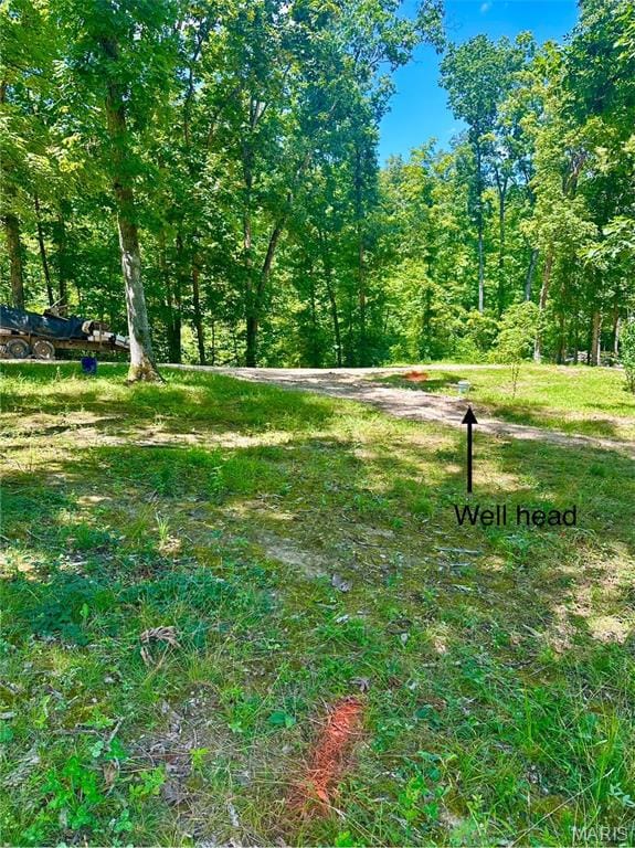 Approximate marking of property line and well head. Well head is not on for sale lot, but does have a deeded shared well agreement.