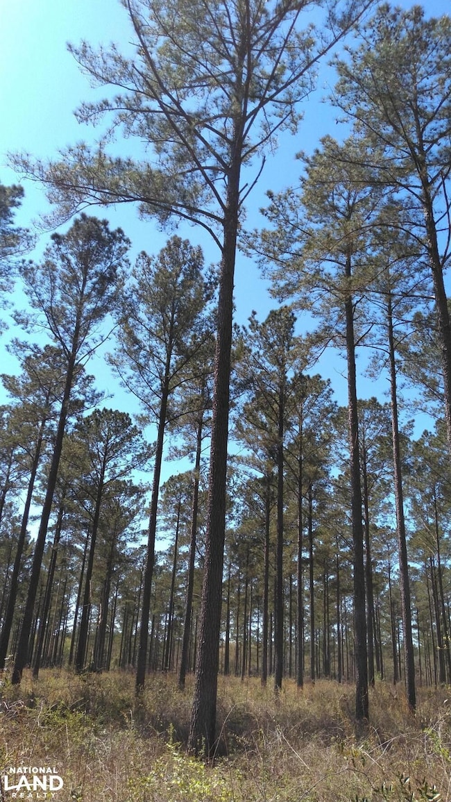 0 County Road 18 unit 15525411, Headland, AL 36345 - photo 7