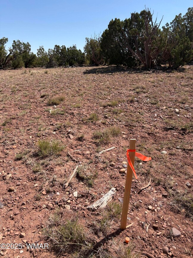 Survey Point