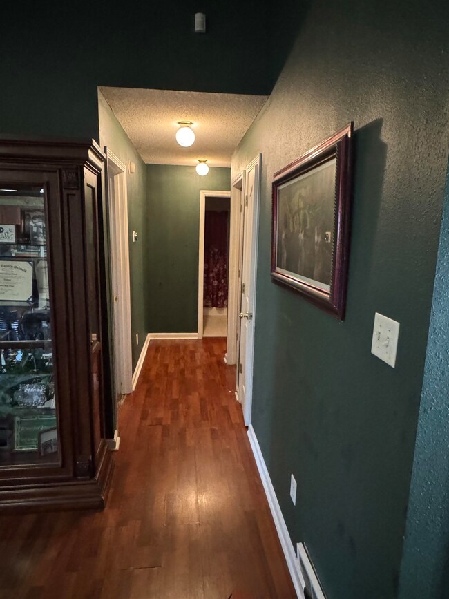 Corridor featuring dark wood finished floors, a te