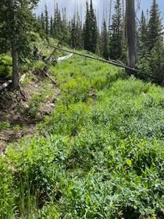 IMG_8513(1)