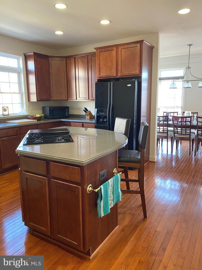 25842 Turlough Terrace, Chantilly, VA 20152 - photo 7