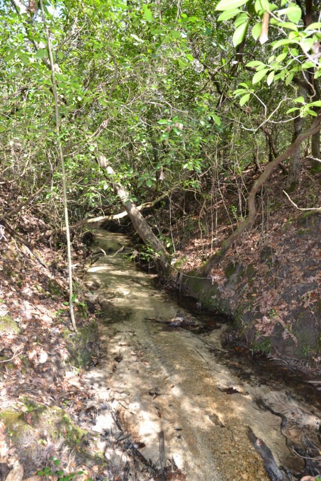5575 Kervin Rd 02 Crystal Clear Creek