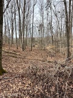 6401 Sable Ln, Greensboro, NC 27406 - photo 3