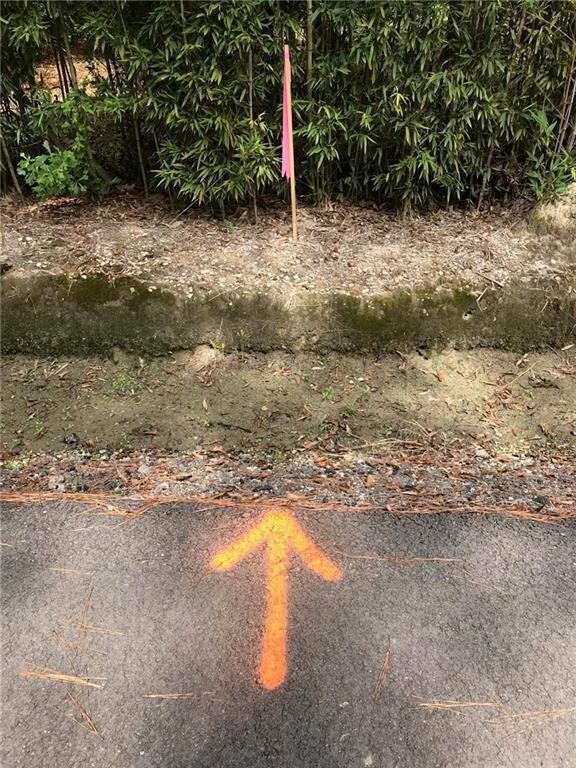 Lot line marked with survey stake and arrow in str