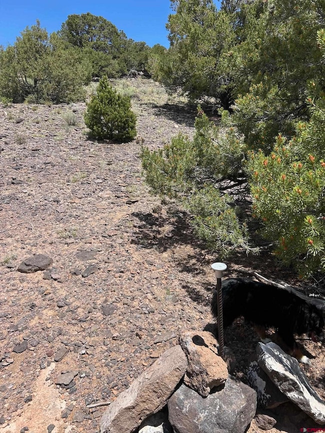 TBD Tbd, La Jara, CO 81140 - photo 3