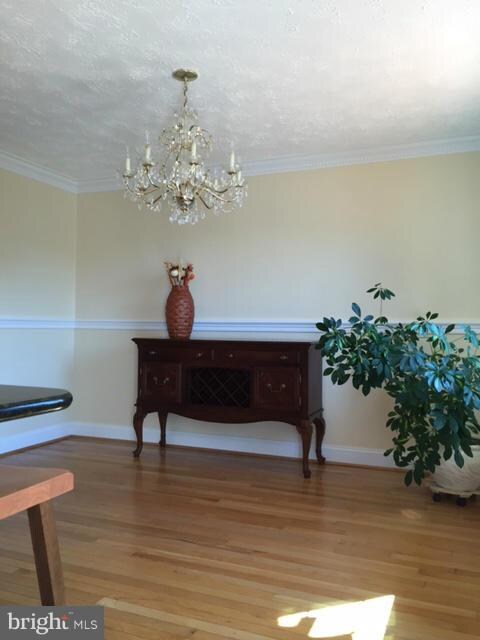 5549 Hecate Ct, Fairfax, VA 22032 - photo 4