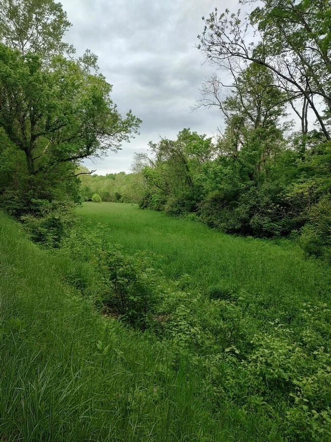 IMG_20250512_084617981_HDR
