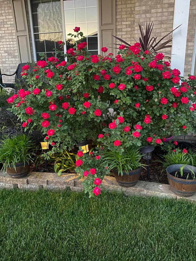 1521 Birdie Way, Chesterton, IN 46304 - photo 4