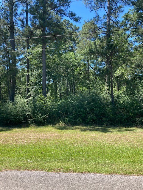 TBD Forest Trail, Hockley, TX 77447 - photo 5