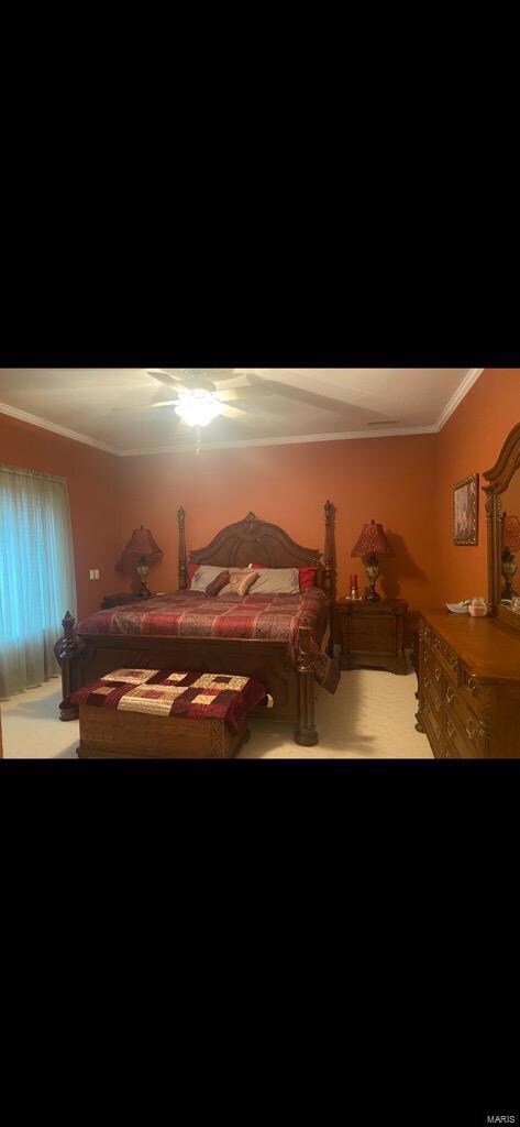 211 Kaylee Cir, Poplar Bluff, MO 63901 - photo 7