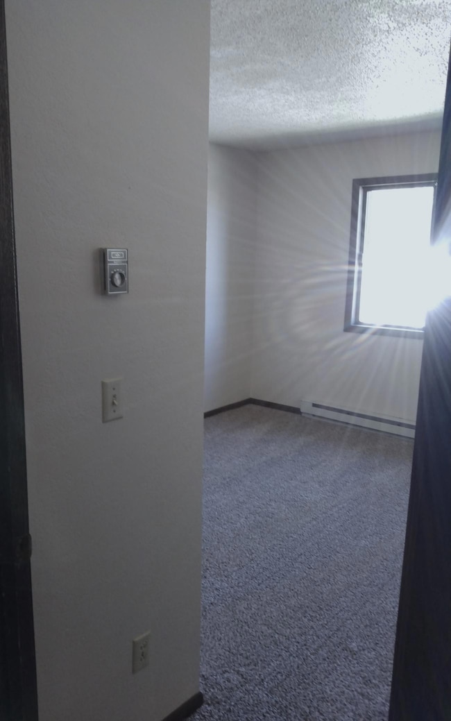 506 Carleton Ave, Morgan, MN 56266 - photo 7