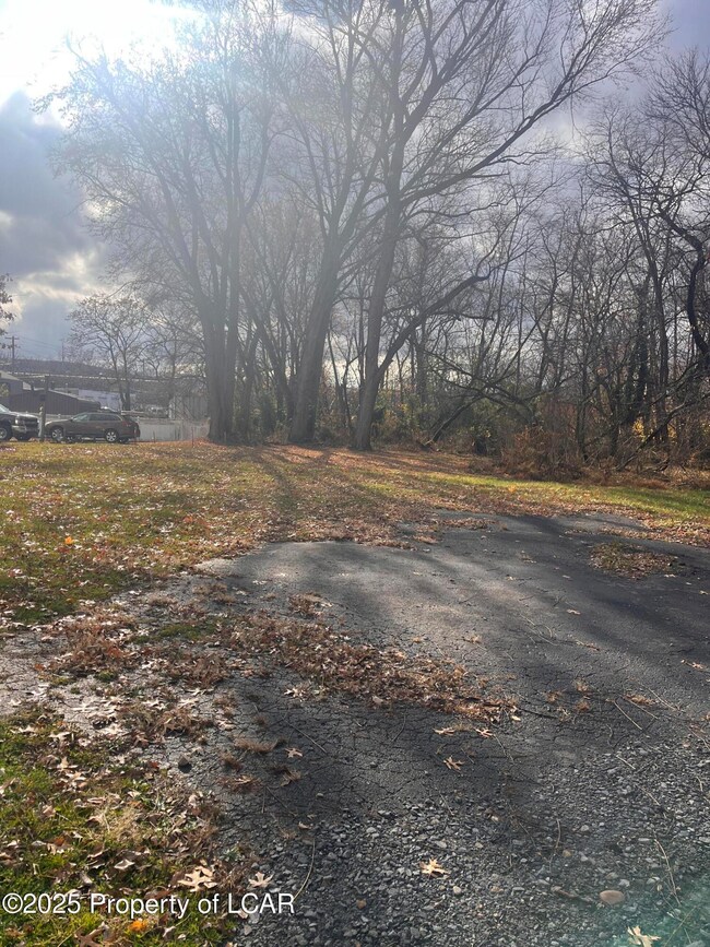 31 Harriet St, Wilkes-Barre, PA 18705 - photo 5