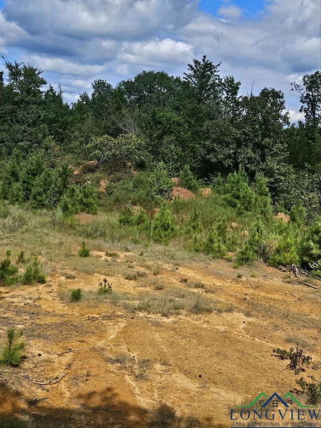 View of landscape