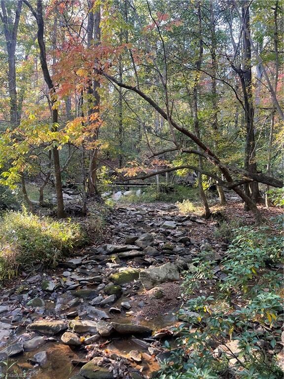 1042 Foggy Mountain Rd, Asheboro, NC 27205 - photo 7