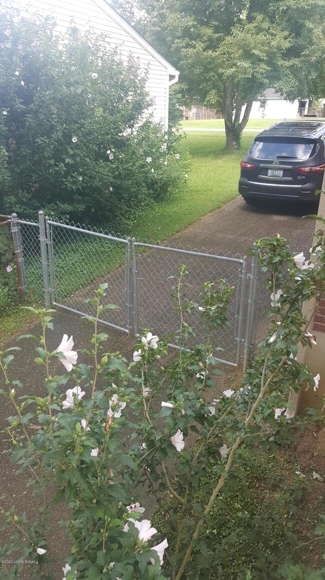 8511 Roseborough Rd, Louisville, KY 40228 - photo 4