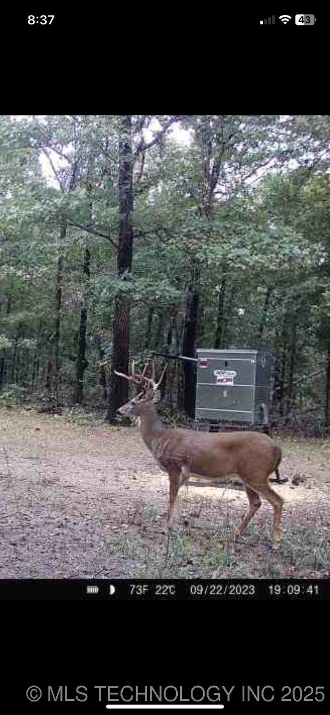 0 State Highway 82 Hwy unit 2533335, Salina, OK 74365 - photo 5