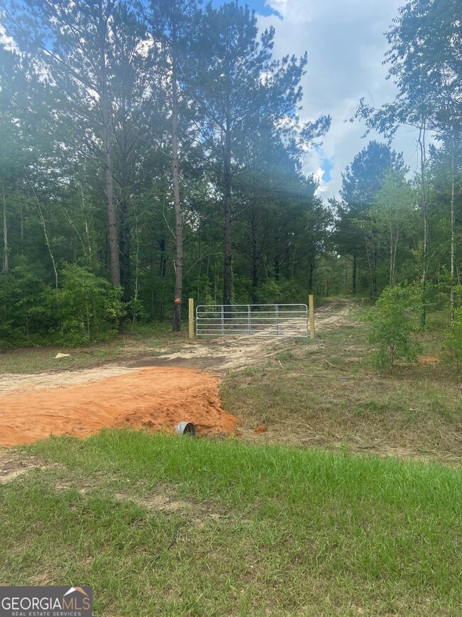 0 Mamie Graham Rd unit 10647192, East Dublin, GA 31027 - photo 3