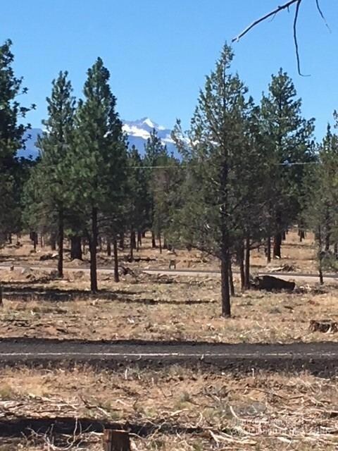 70318 Longhorn Dr, Sisters, OR 97759 - photo 3