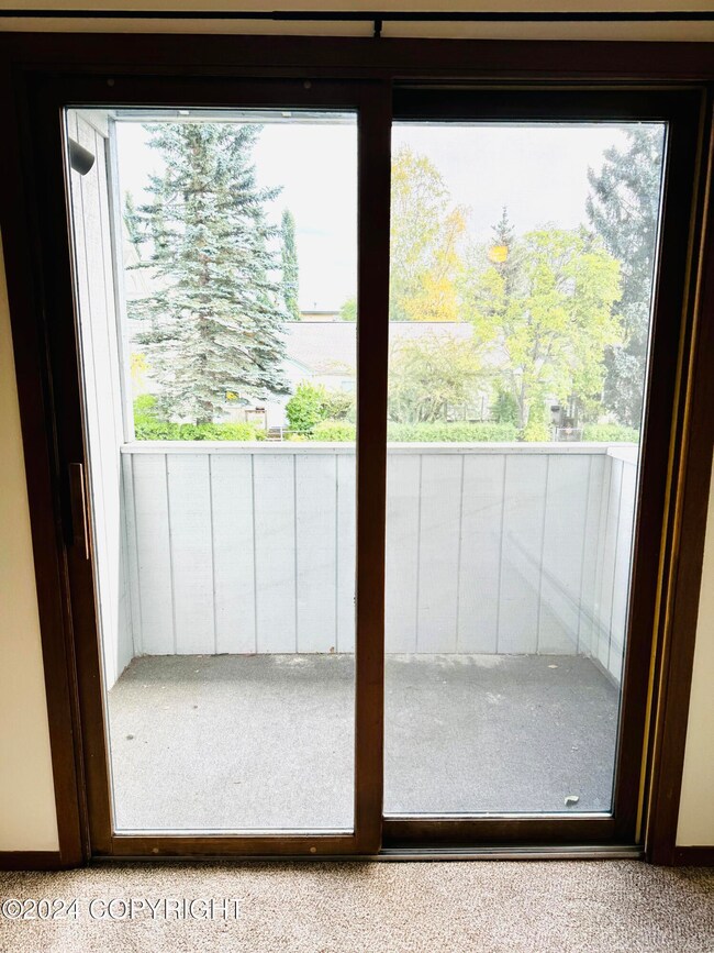 Photo Sep 16 2024, 1 26 49 PM