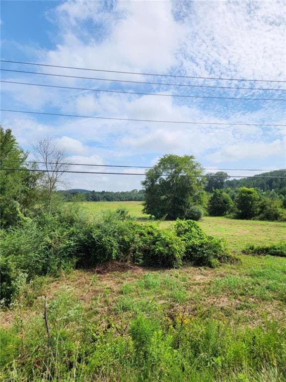 0 S Hwy 27 unit 7688716, La Fayette, GA 30753 - photo 2