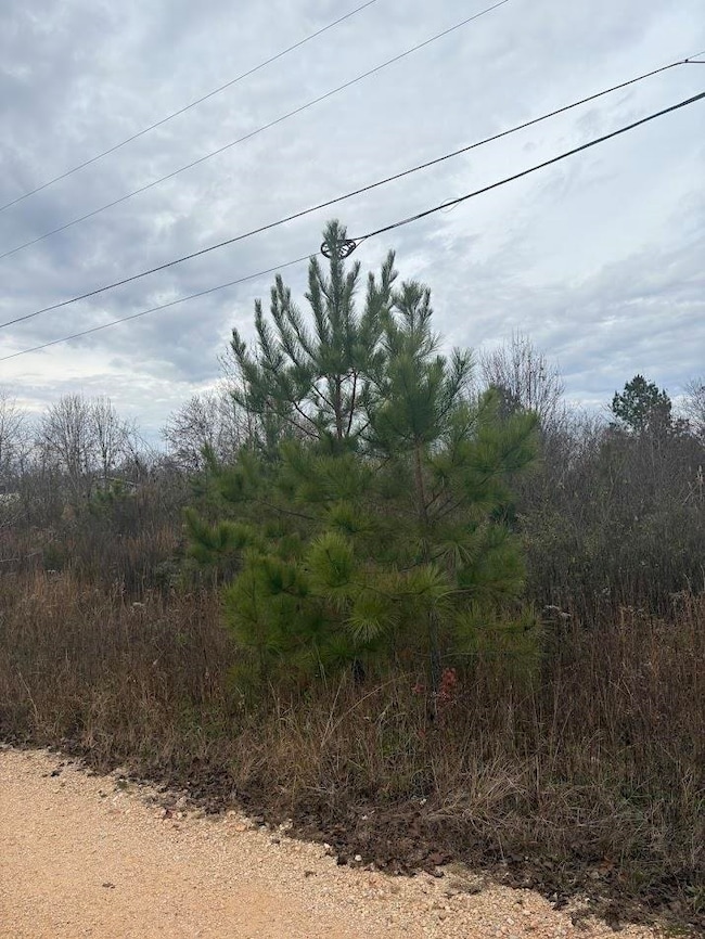 44 Faires Dr, Killen, AL 35645 - photo 4