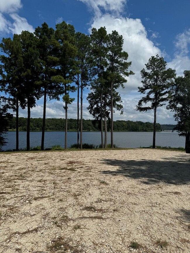 1399 Lakepoint Passage, Nacogdoches, TX 75964 - photo 6