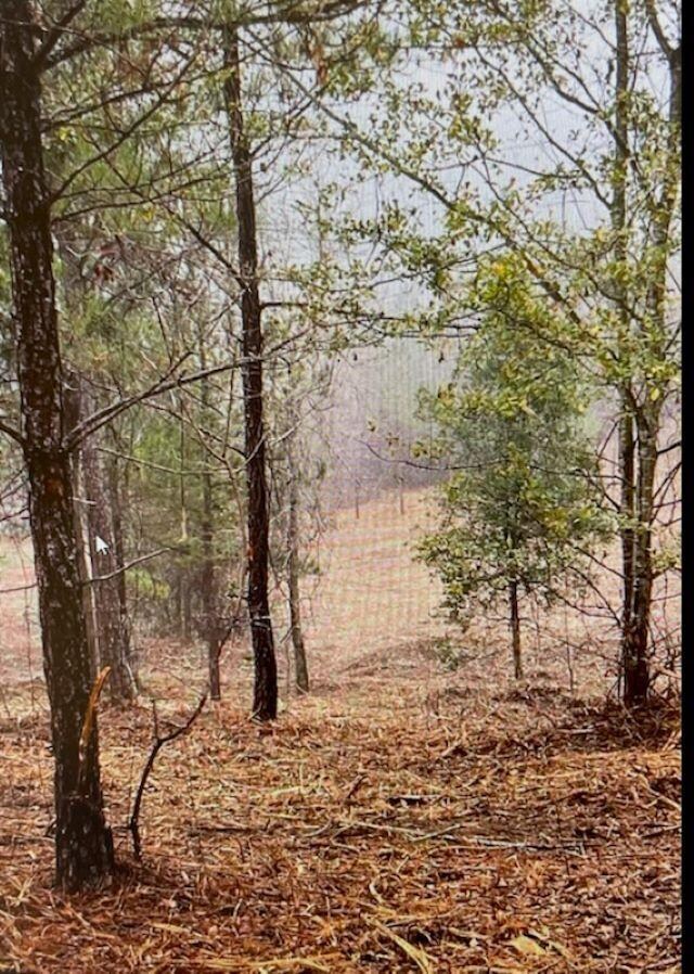 Tract D Marshall Mill Rd, Powersville, GA 31008 - photo 6