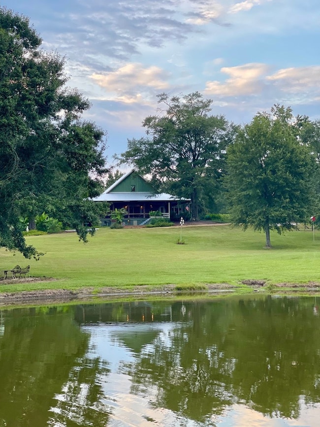 1117 Williamson Rd, Luverne, AL 36049 - photo 2
