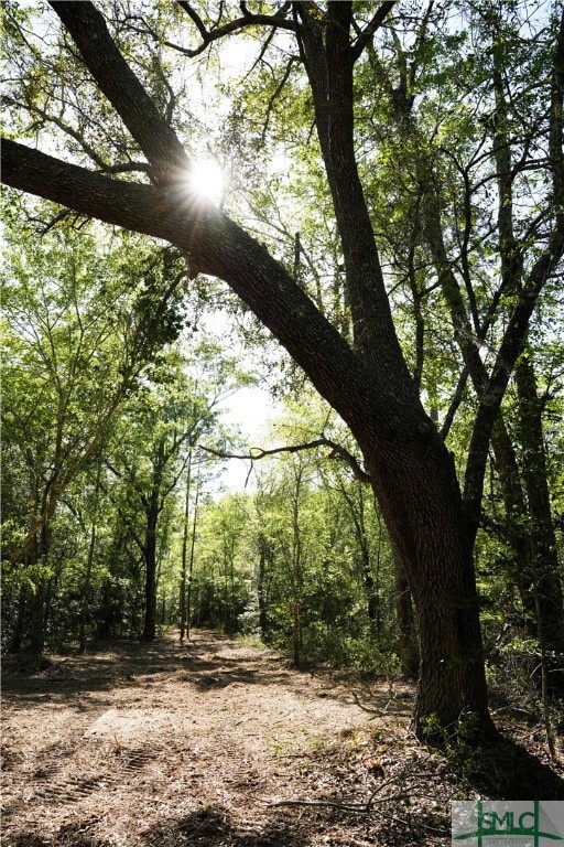 0 Floyd Rd unit Lot 9 328851, Pembroke, GA 31321 - photo 3