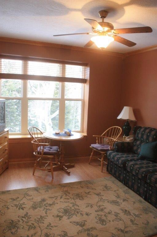 223 W Hunter Ridge Dr unit E304, Brian Head, UT 84719 - photo 7