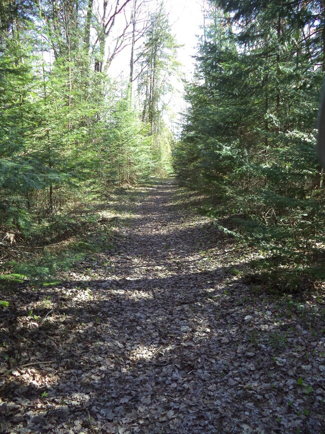 DSC02009