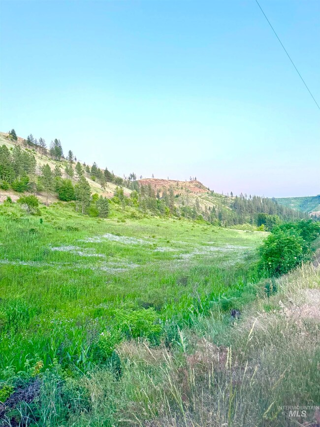 TBD Lot #2 Beaverslide Rd, Kamiah, ID 83536 - photo 6