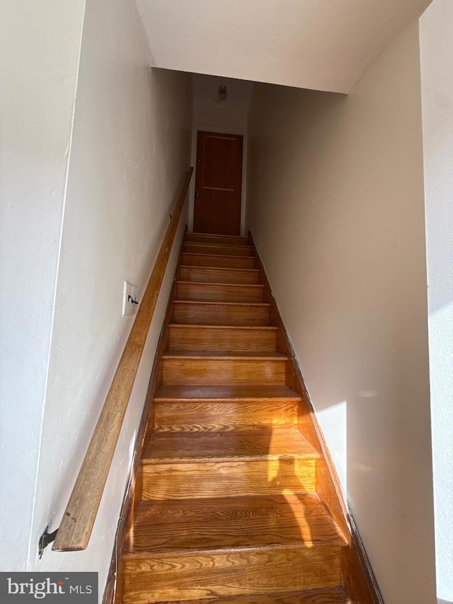 366 Ripka St, Philadelphia, PA 19128 - photo 4