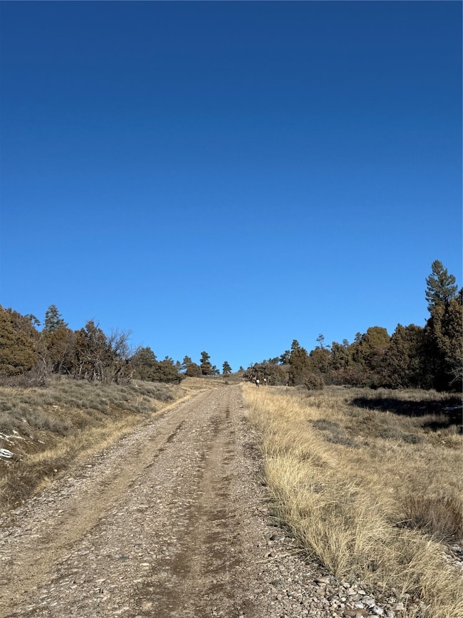 0 Unit 1 Tr-9b Ponderosa unit 202505335, Chama, NM 87520 - photo 2